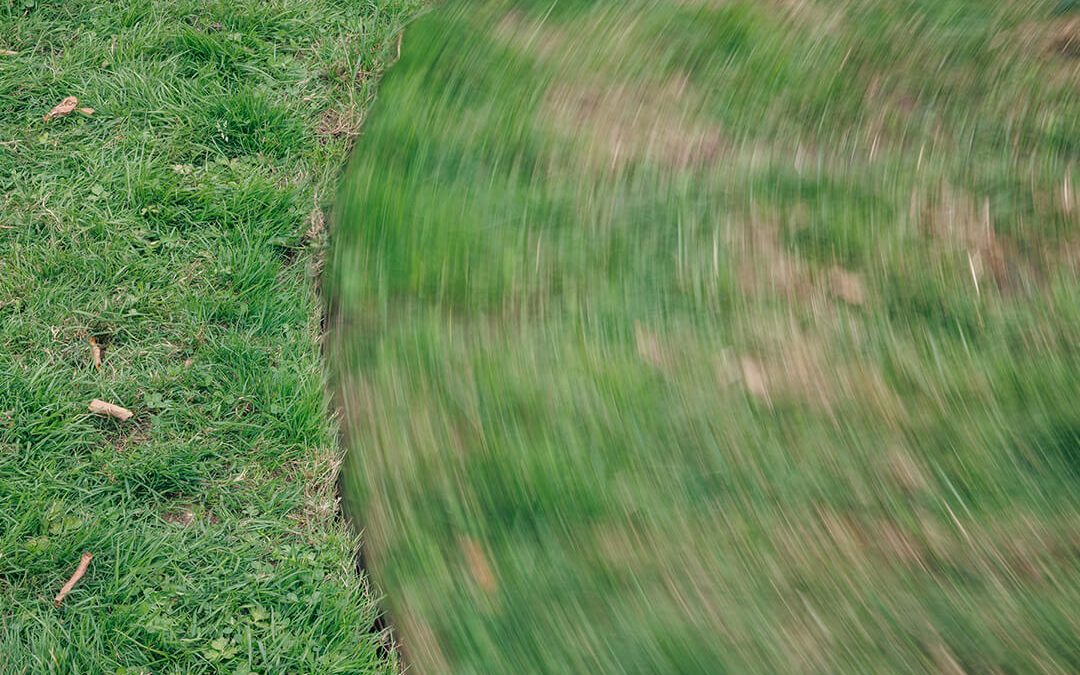 Close-up of a lawn that has a circular, rotating shape cut into it.