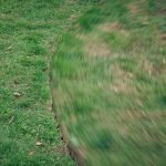Close-up of a lawn that has a circular, rotating shape cut into it.