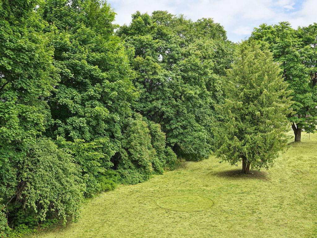 Kesäinen puisto, jossa on puita ja niiden edessä nurmikkoa, johon on leikattu pyöreä, pyörivä muoto.