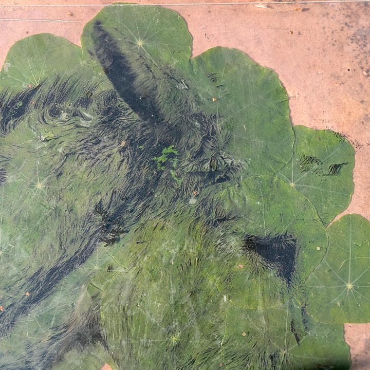 A part of an artwork with green leaf-like patterns on a light pink background.