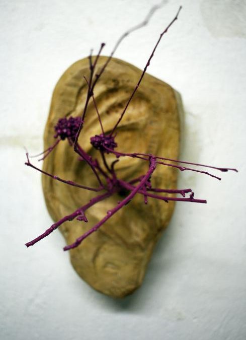 Jaakko Lahti, kuva teoksesta Ear Fungus.