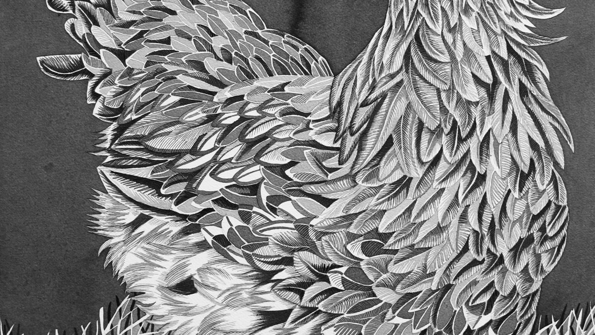 Pirjetta Brander - Mustaa valkoisella