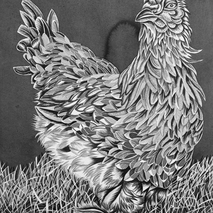 Pirjetta Brander - Mustaa valkoisella