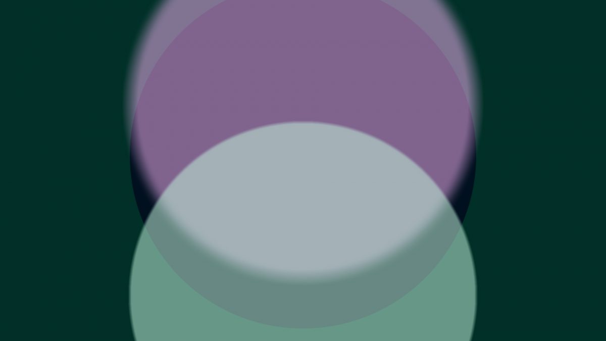 Maija Laurinen & Michael Czinege - Double Negative