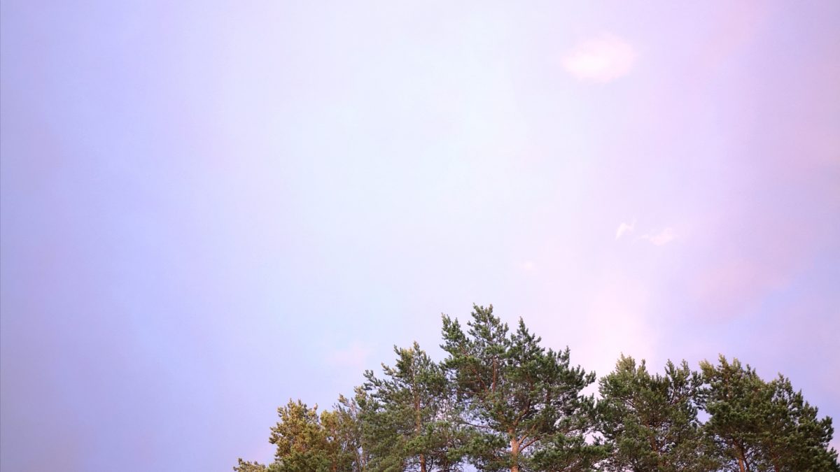 Päivi Paakinaho - Häämöttää