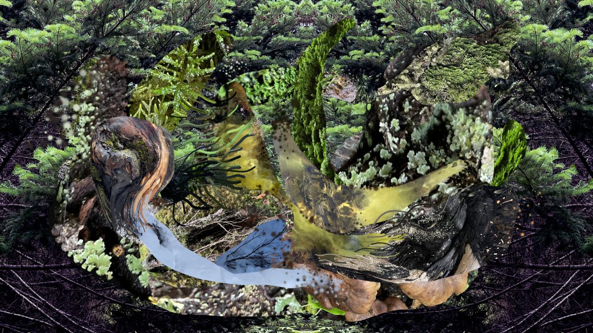 Teemu Raudaskoski - Visual meditation